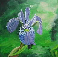 painting of a Blue Flag Iris
