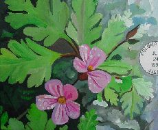 painting of herb robert
