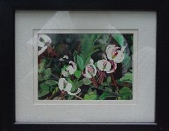 painting of cranberry blossoms