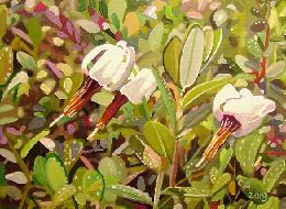 Cranberry Flowers